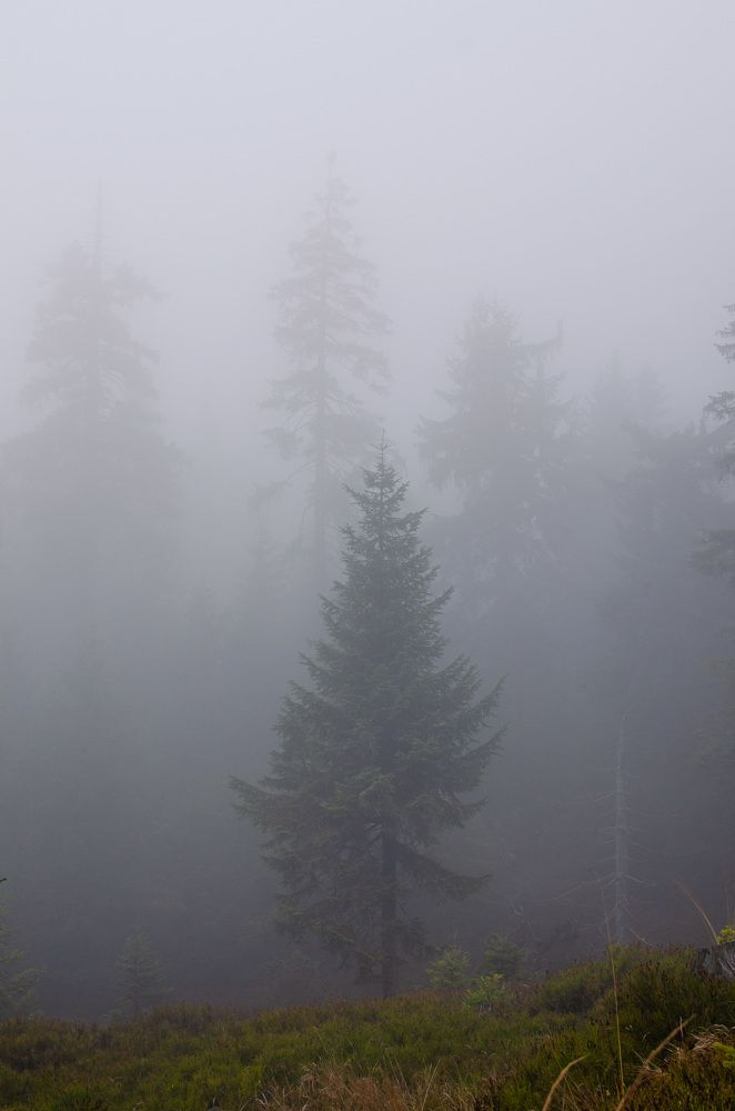 Photograph by Oleg Yashin