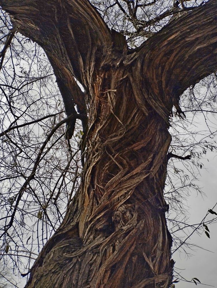 Photograph by Рашид Шайдулин