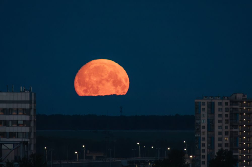 Photograph by Dmitriy Konstantinov