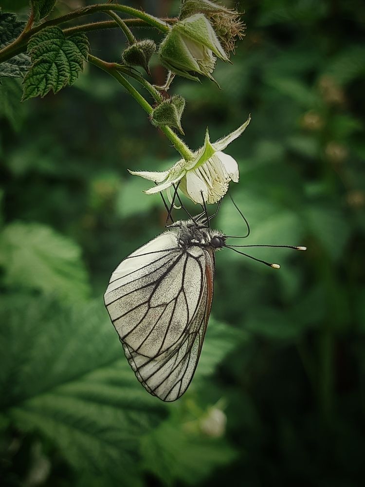 Photograph by Ксения Олина
