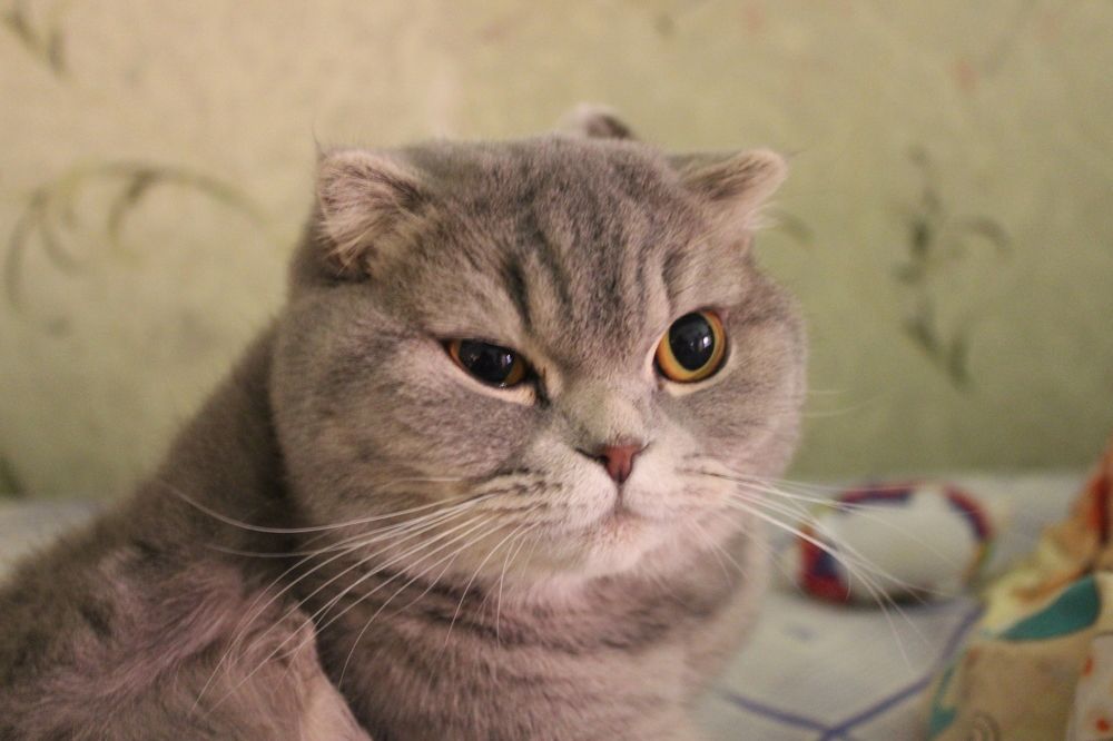 Photograph by Рамиль Давлетбаев