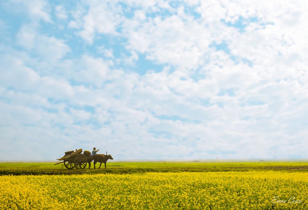 Photograph by MD. Imon