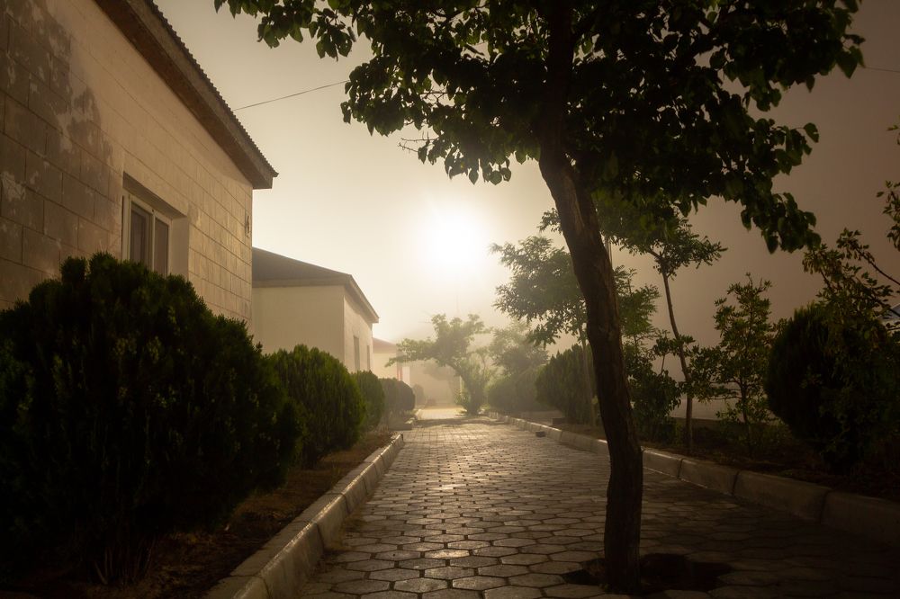 Photograph by Артем Архипов