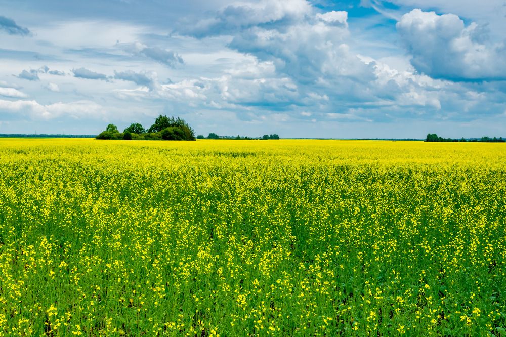 Фотография автора Юрий Морозов