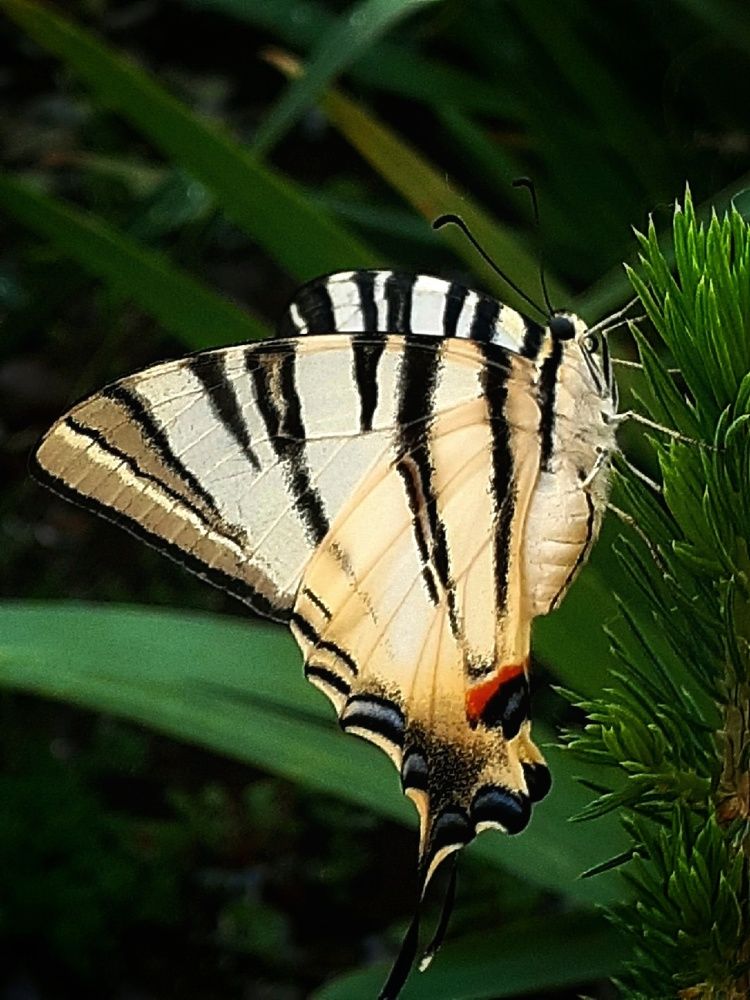 Photograph by Ирина Чувило