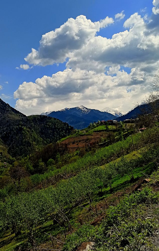 Photograph by Мария Чуланова