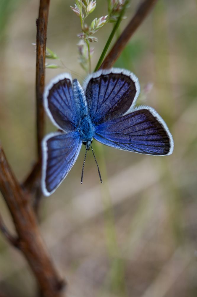Photograph by Наталья Иванова