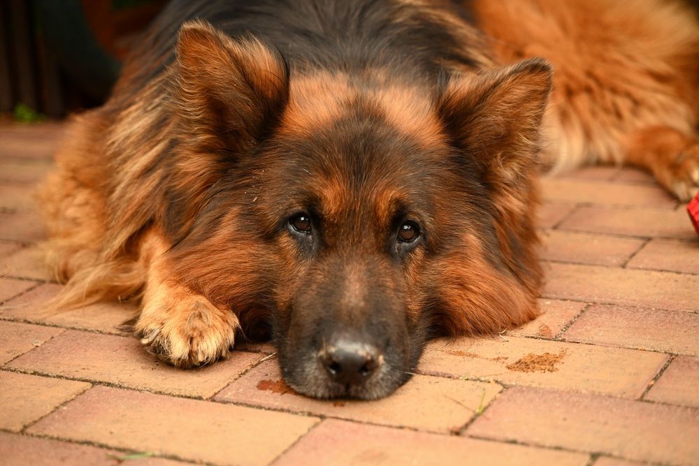 Photograph by Светлана Рубникович