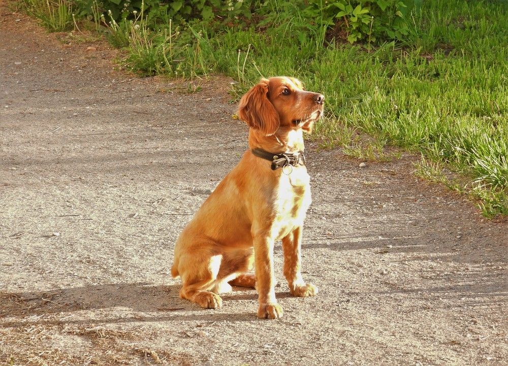 Photograph by Владимир Джерихов