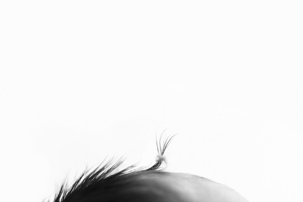 Photograph by Наталья