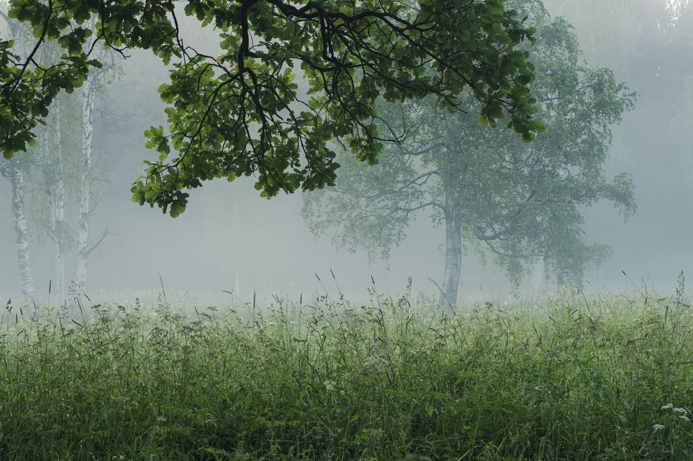 Photograph by Максим Вышарь