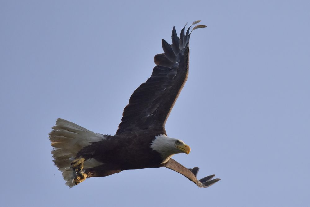 Photograph by Tyler Dewees