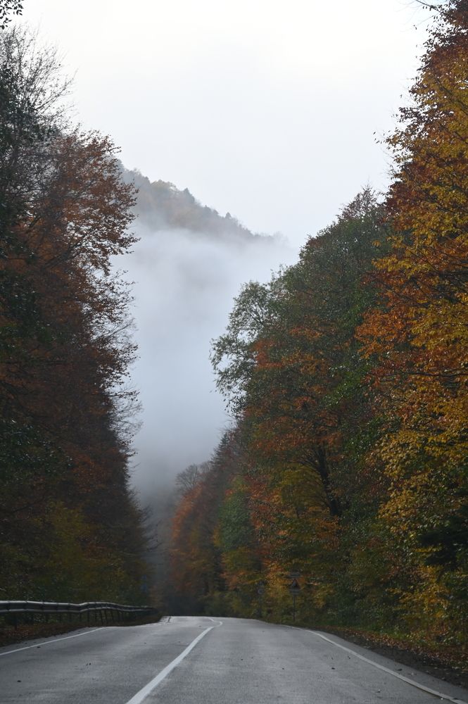 Photograph by Наталья Каплина