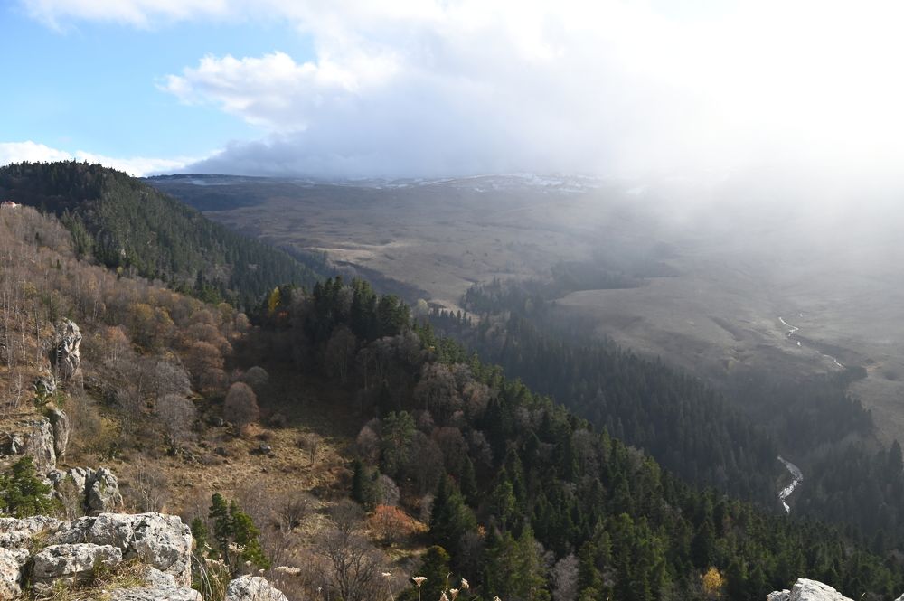 Photograph by Наталья Каплина