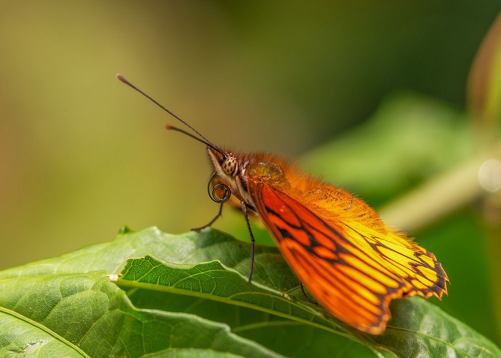 Photograph by Jose Vega