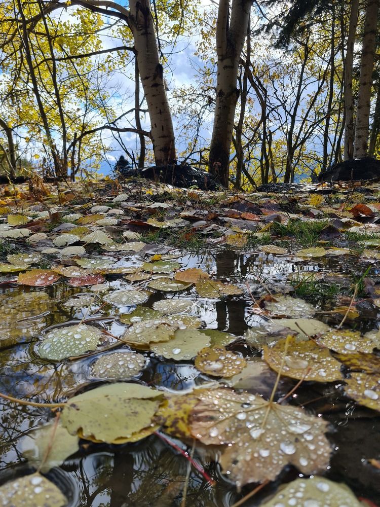 Photograph by Наталья Каплина