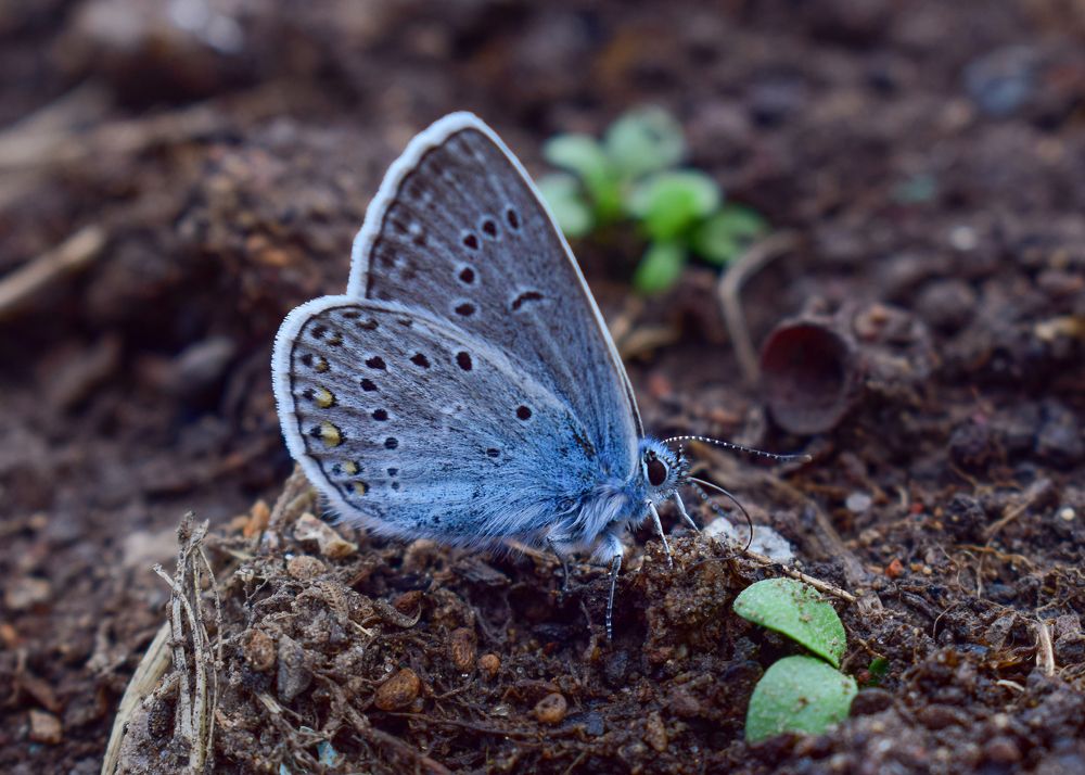 Фотография автора Оксана Льдинина