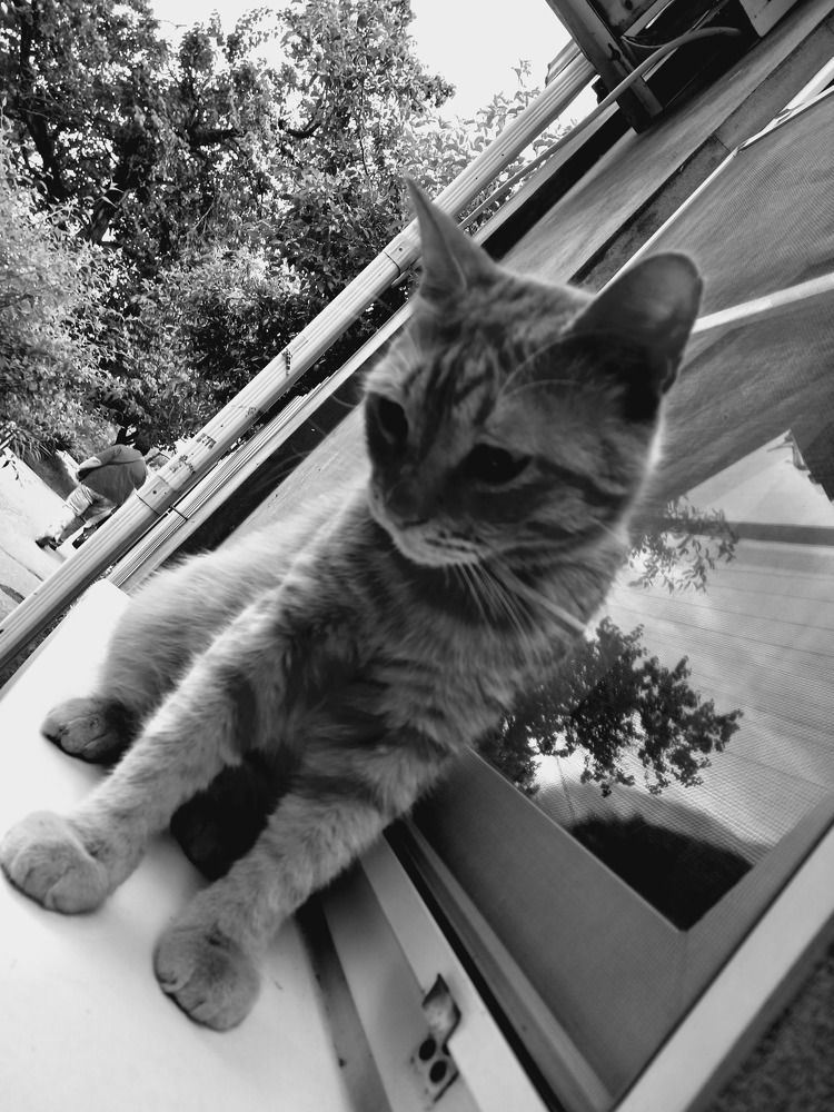 Photograph by Марина Храпова