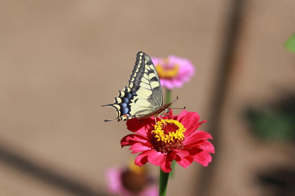 Photograph by Татьяна Москаленко