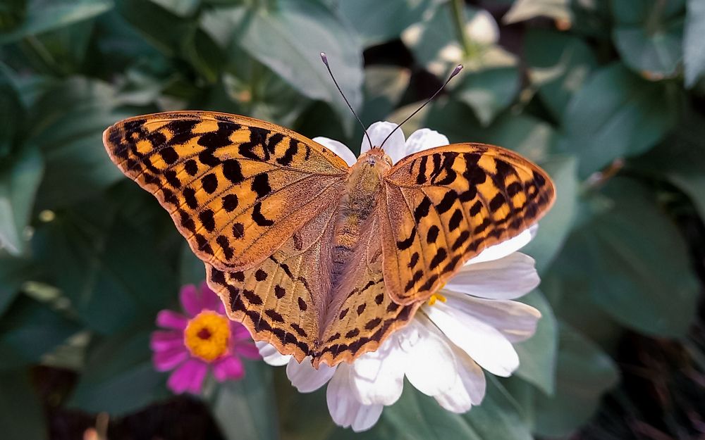Photograph by mahdi ghanbari