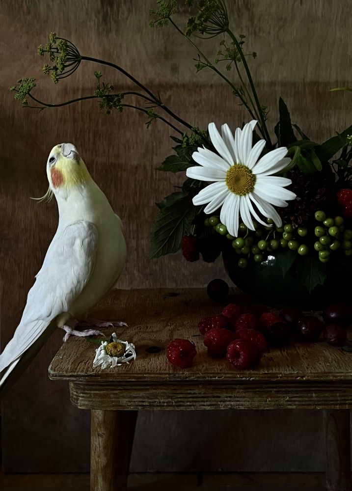 Photograph by Анастасия Денисенко