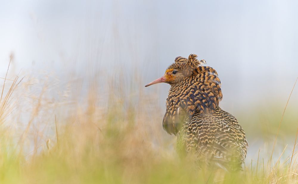 Photograph by Павлов Дмитрий