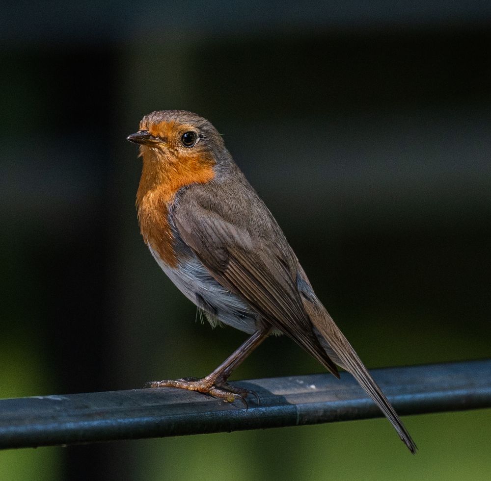 Photograph by Курлянцев Алексей