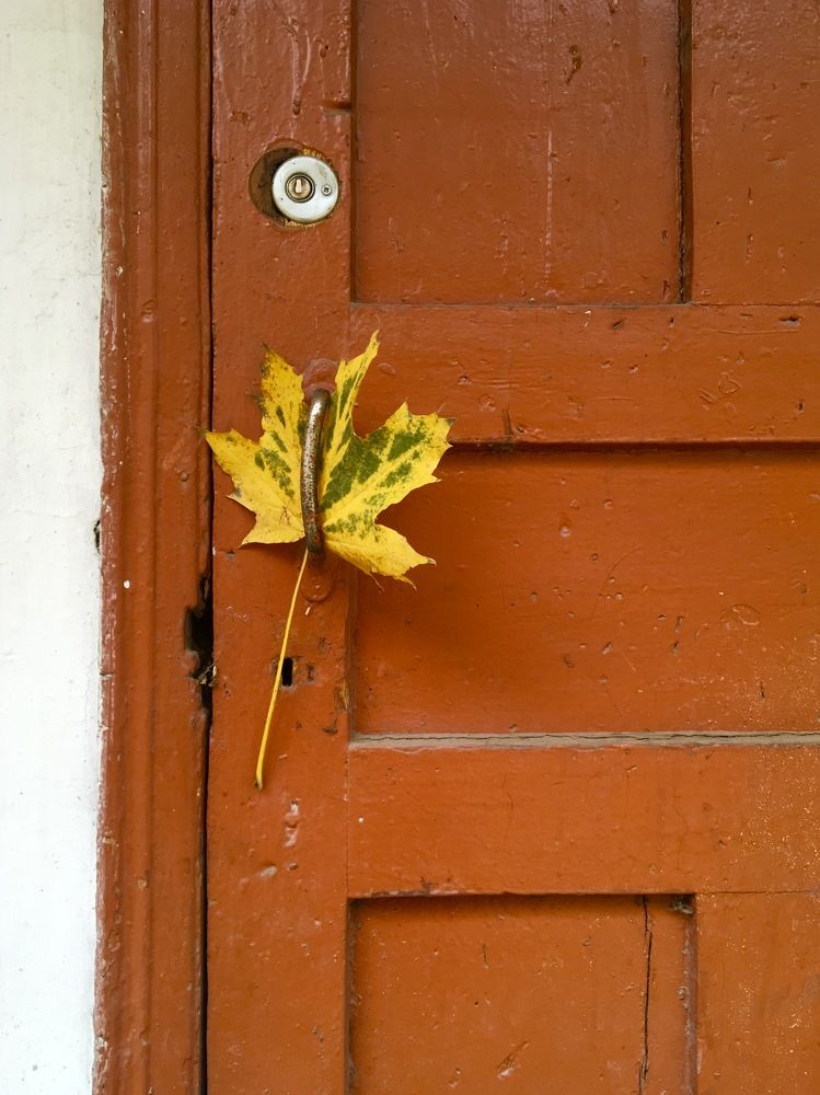 Photograph by Елена Ким