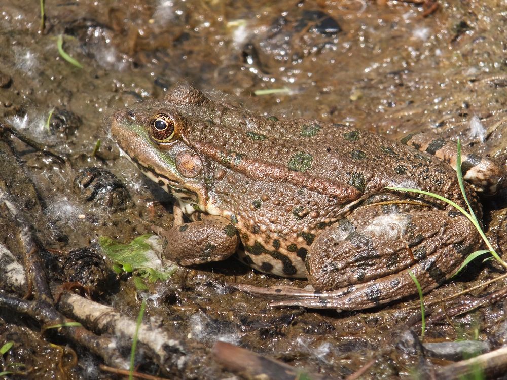 Photograph by Ольга Еремеева
