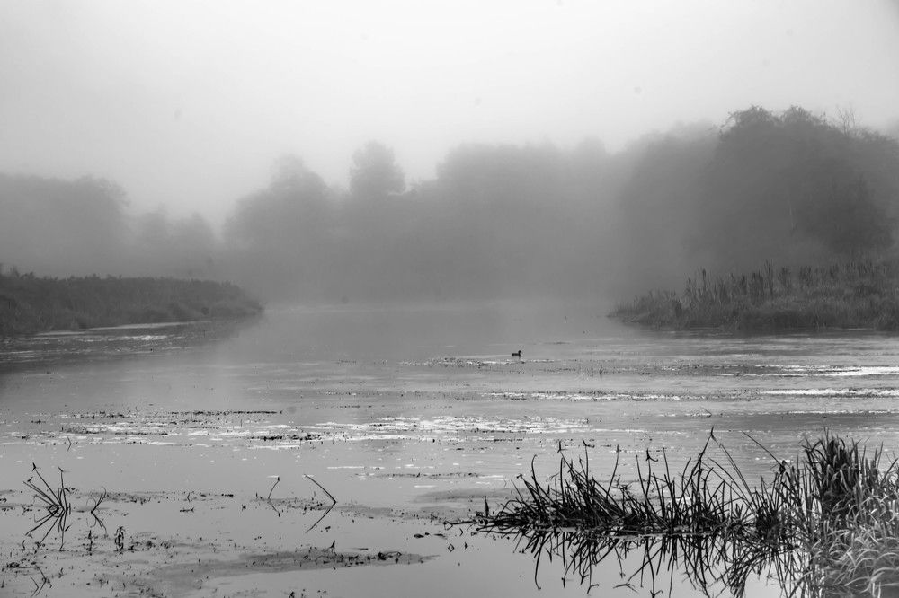 Photograph by Ольга Сафронова