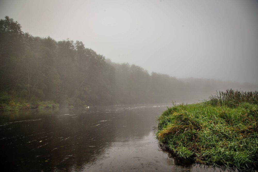 Photograph by Ольга Сафронова