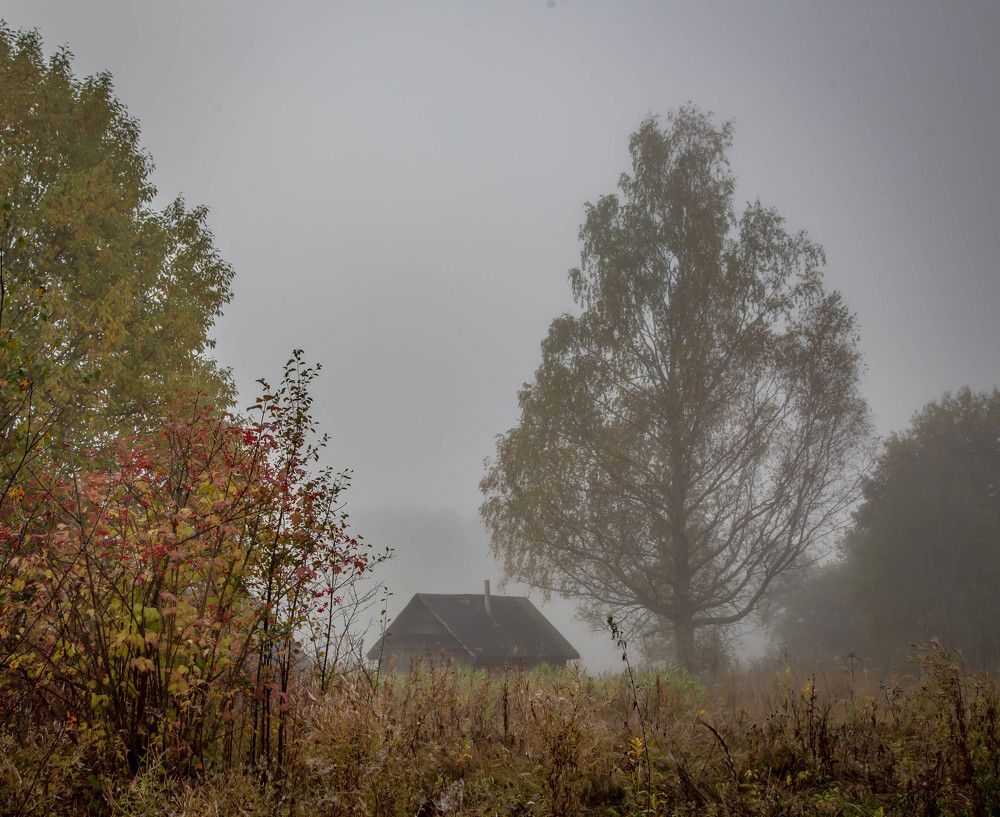 Photograph by Ольга Сафронова