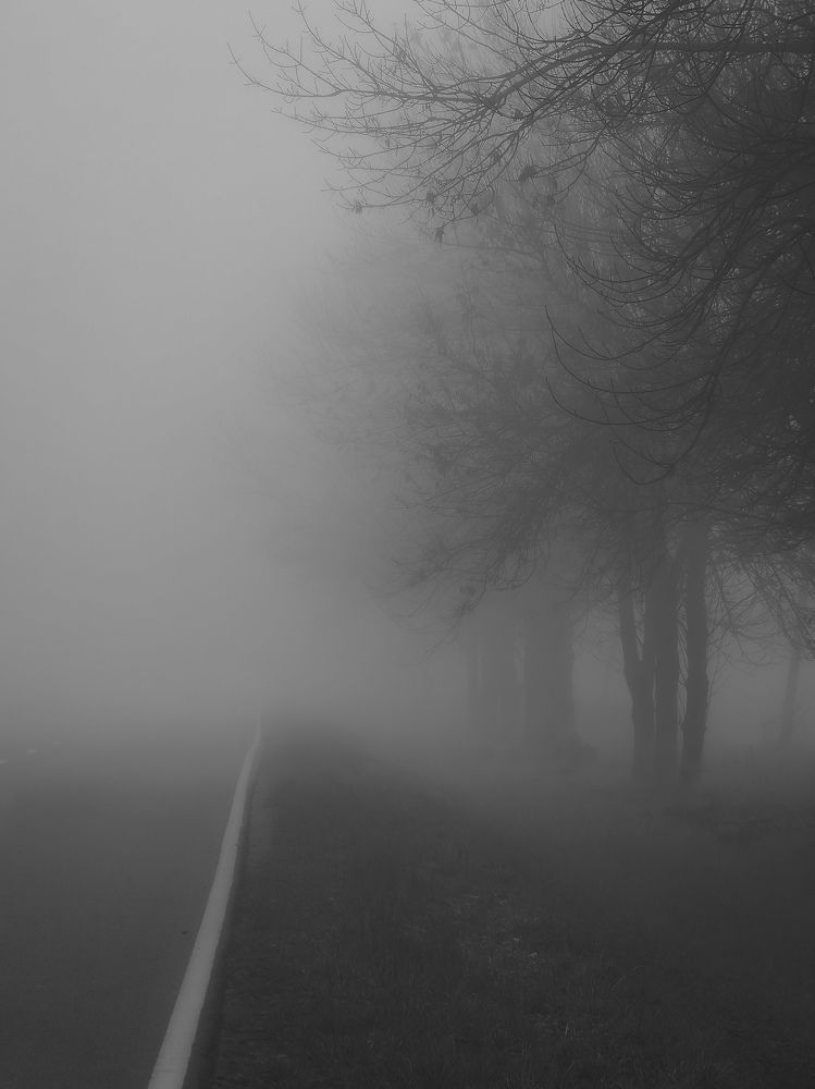 Photo #9262530