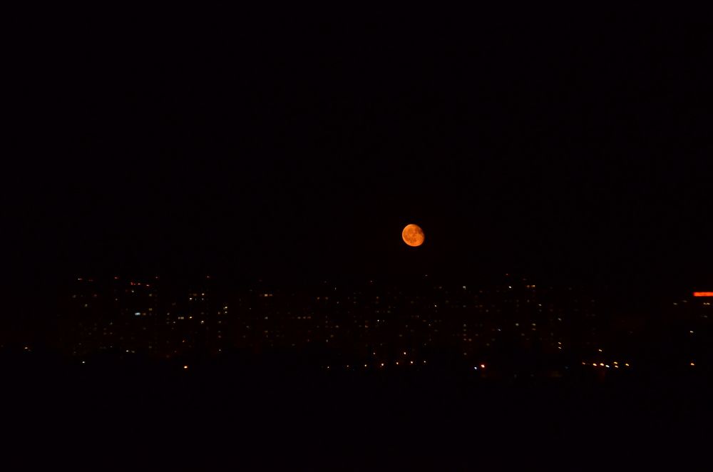 Photograph by Мая Боц