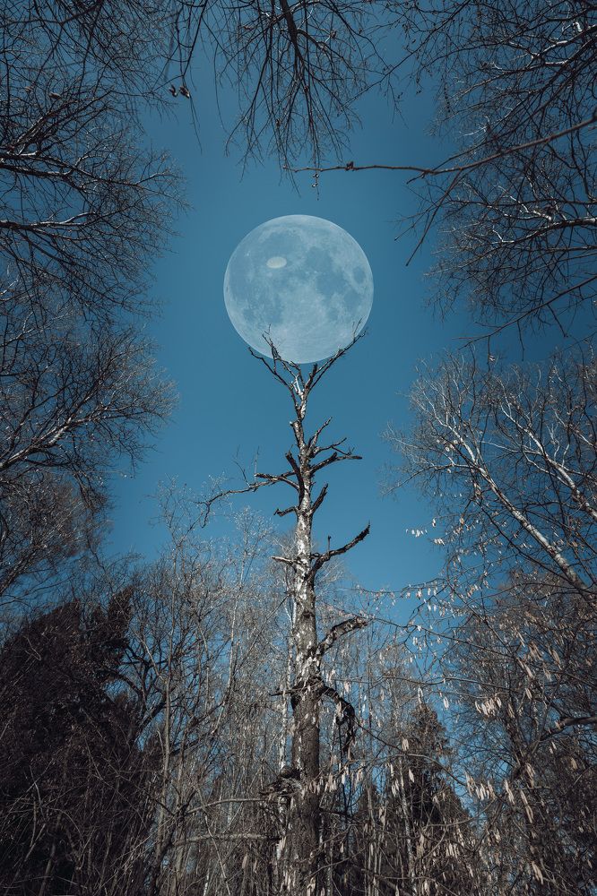 Photograph by G Peter