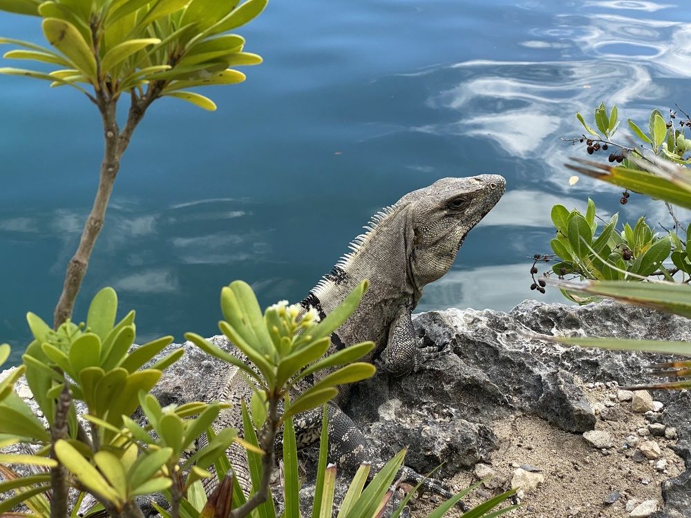 Photograph by Евгения Казакова