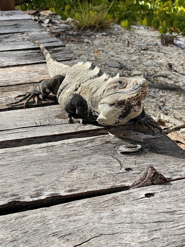 Photograph by Евгения Казакова