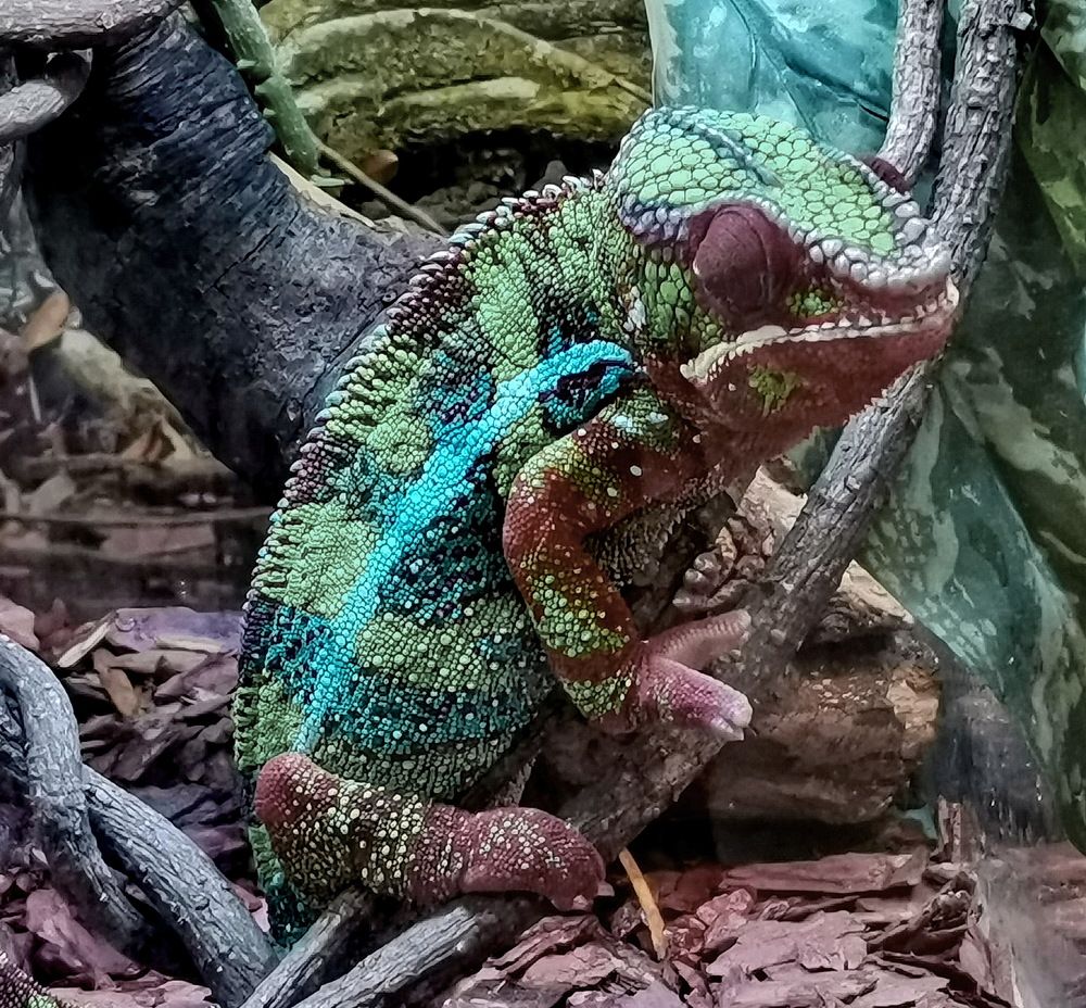 Фотография автора АЛЕКСАНДР ЦЫГЕЛЬНЮК