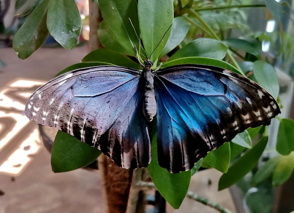 Фотография автора АЛЕКСАНДР ЦЫГЕЛЬНЮК