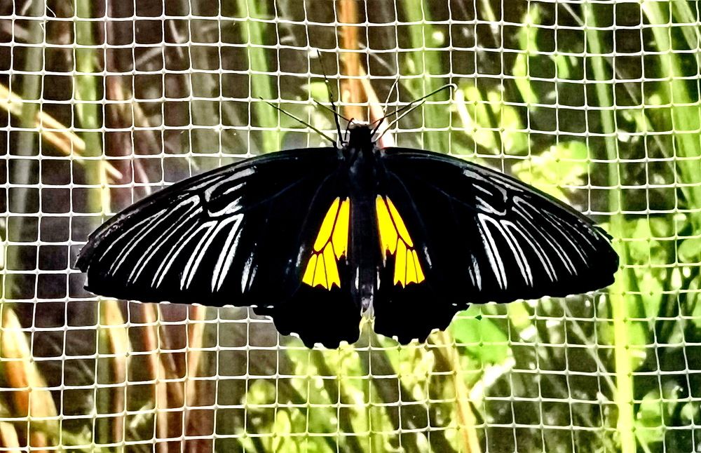 Фотография автора АЛЕКСАНДР ЦЫГЕЛЬНЮК