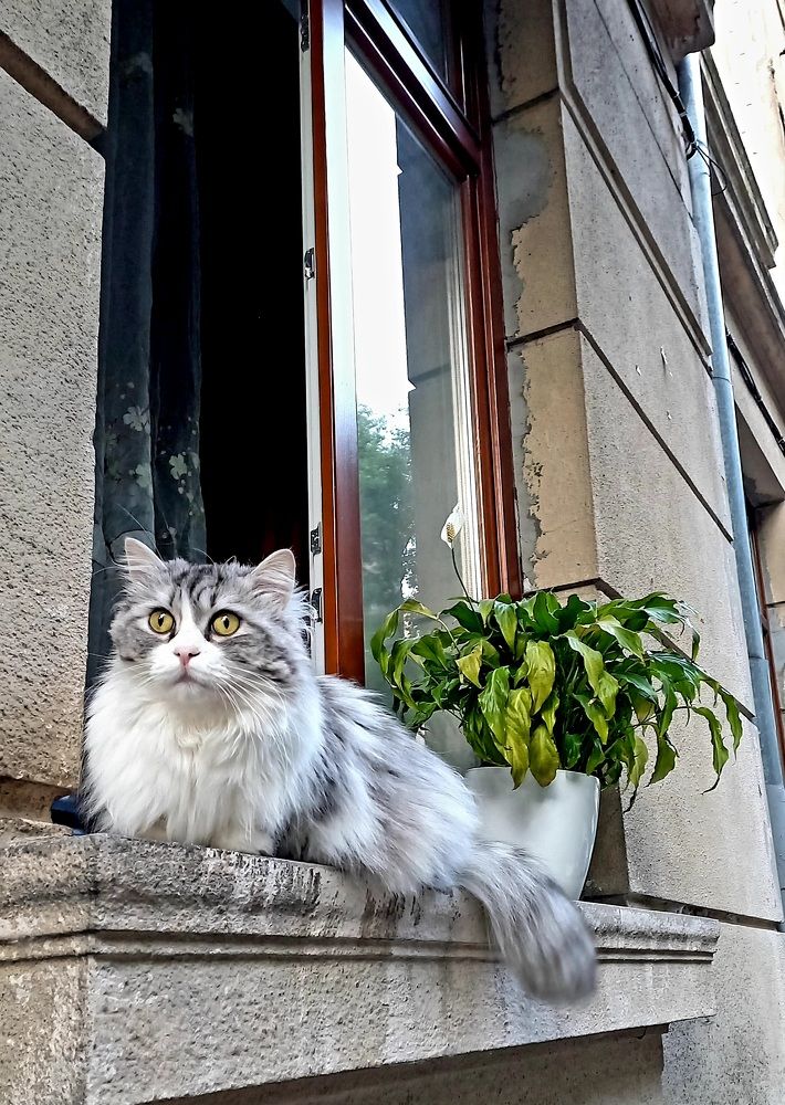 Photograph by Елена Шерман