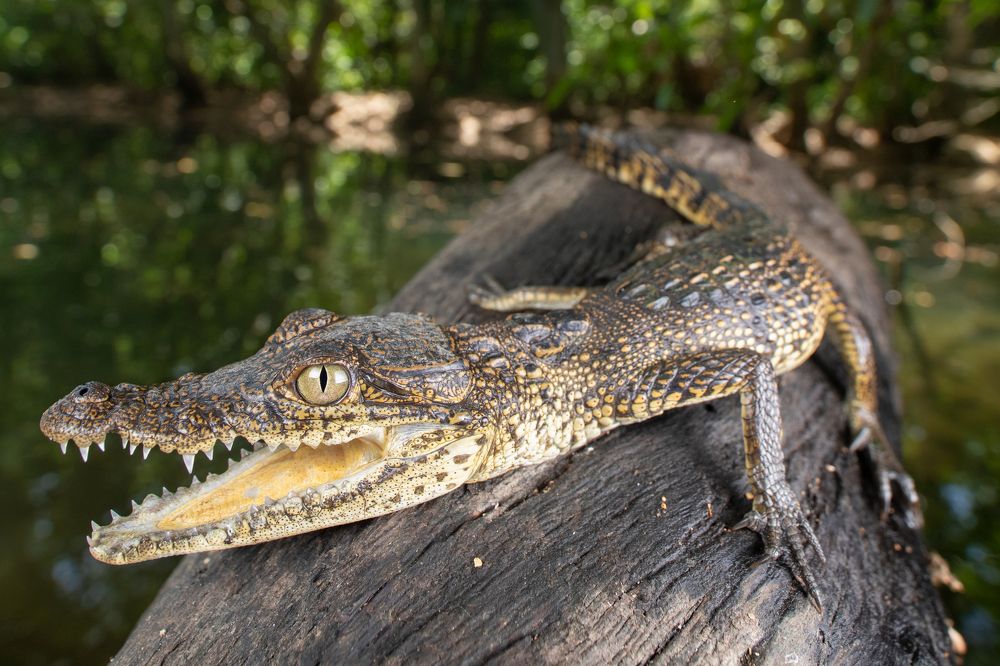 Photograph by Omar Rangel