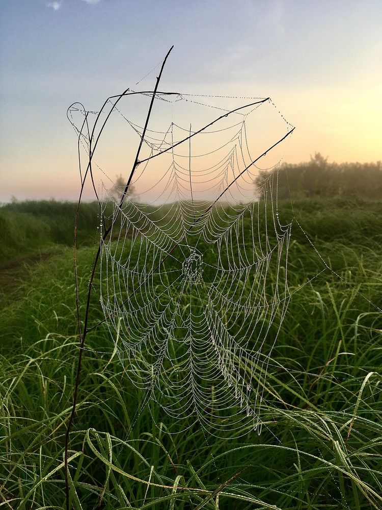 Фотография автора Nadezhda