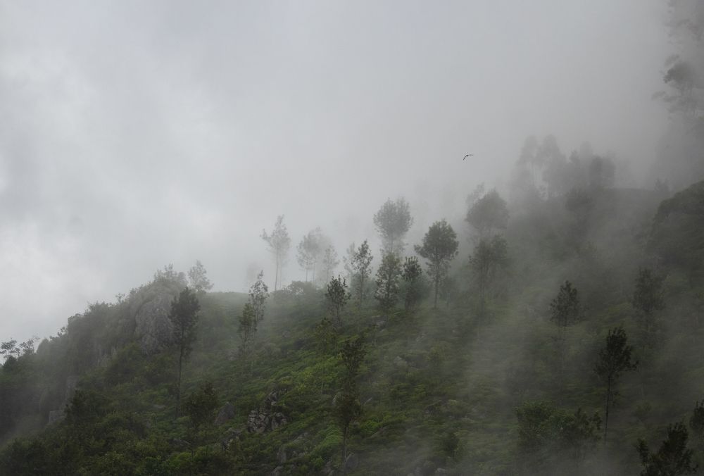 Photograph by Saranga Abeykoon