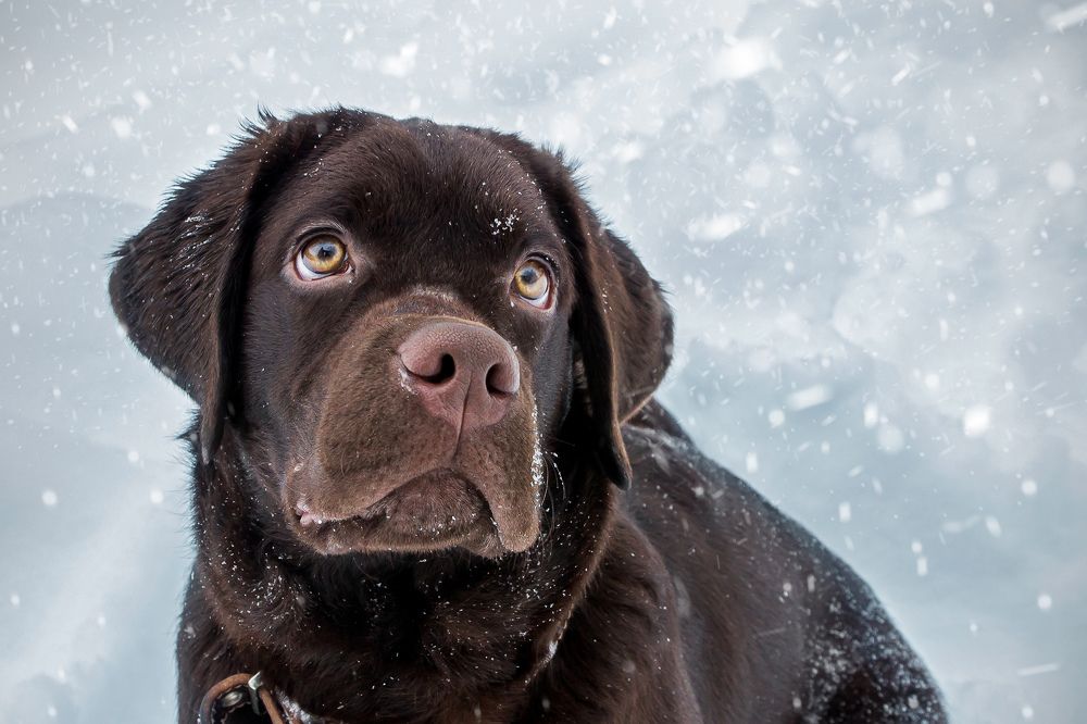 Photograph by Андрей Дудник