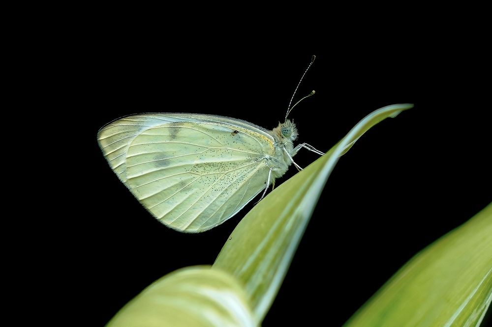 Фотография автора Viktoria Farkas