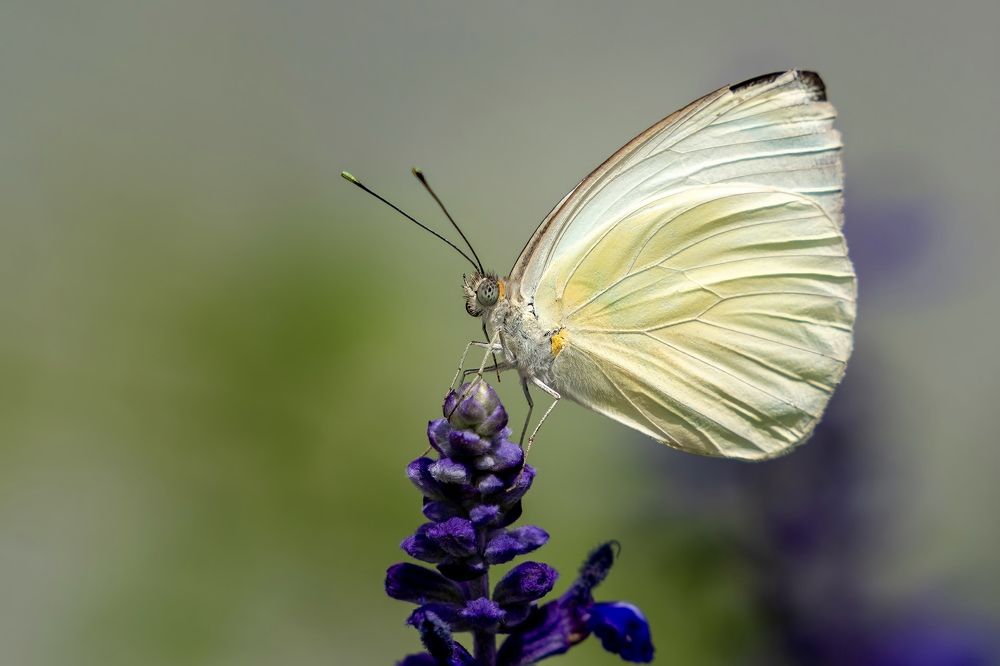 Фотография автора Viktoria Farkas