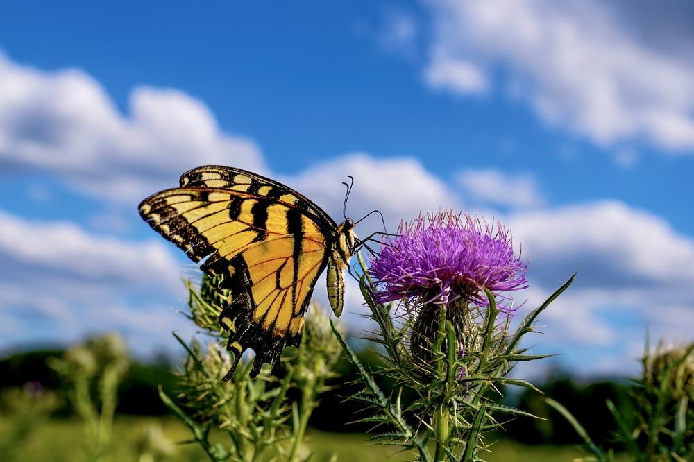 Фотография автора Viktoria Farkas