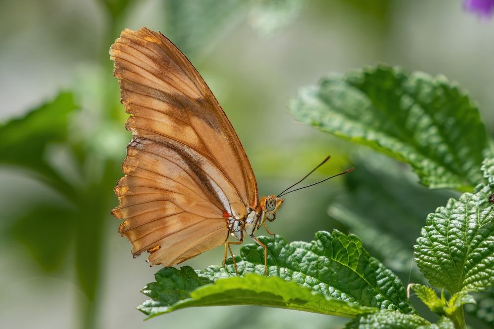 Фотография автора Viktoria Farkas