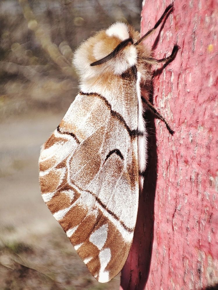 Photograph by Алина Эбель